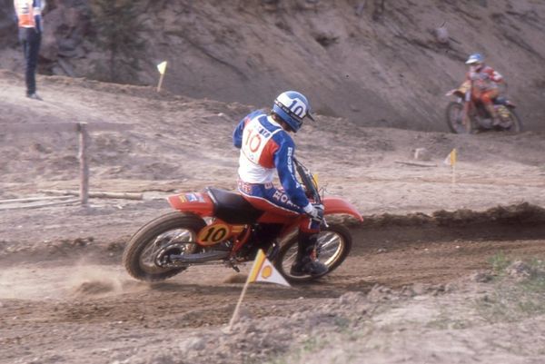 Roger De Coster Ruskeasanta 1980